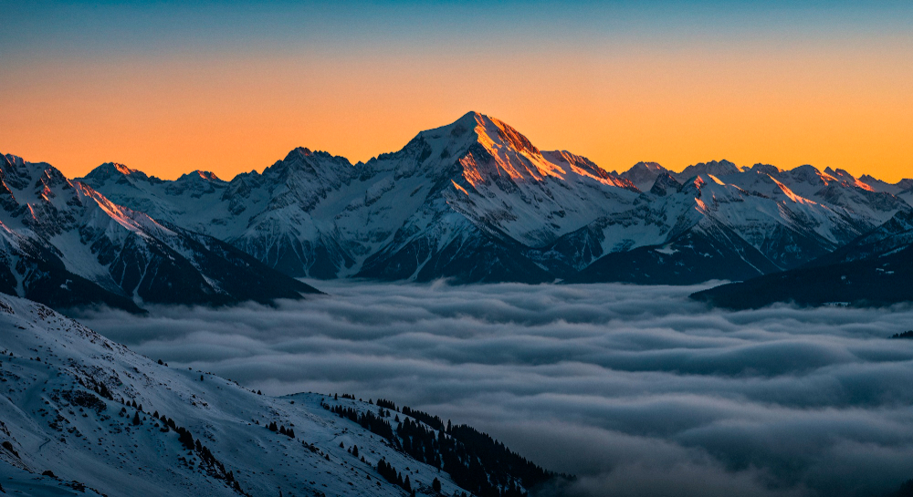 Student Success Stories: Career Transformation